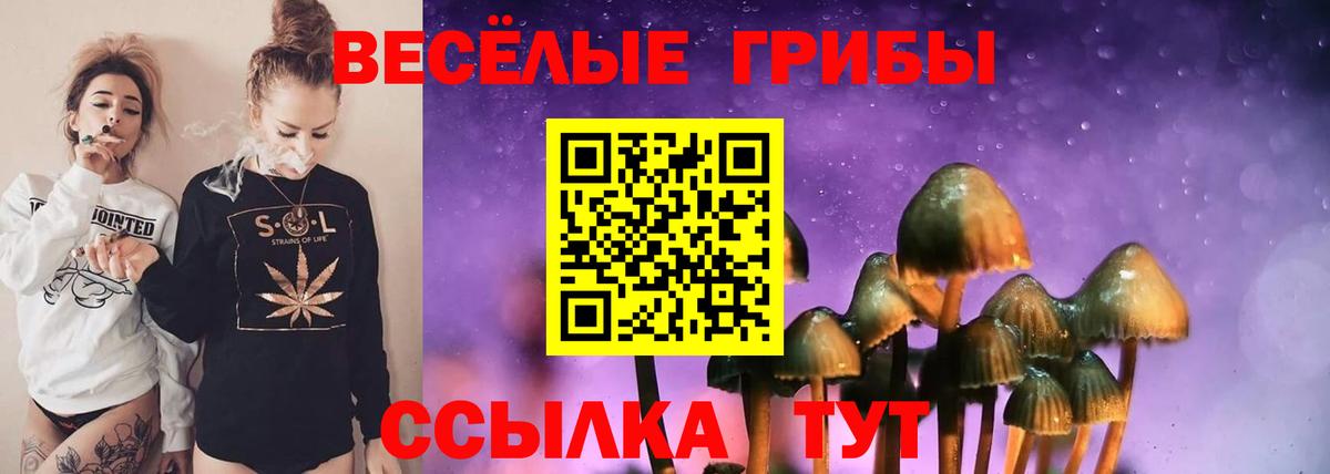 Галлюциногенные грибы GOLDEN TEACHER Майкоп
