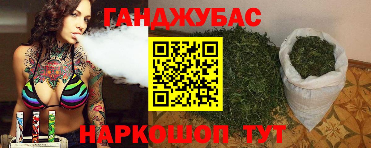 Каннабис индика Майкоп